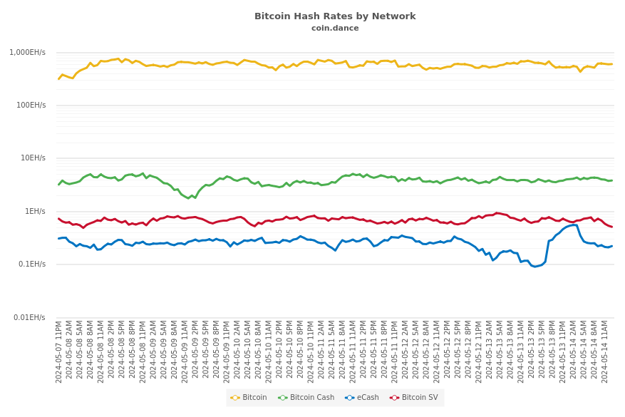 Bitcoin Hash Rates by Network