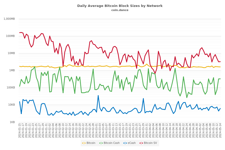 Daily Average Bitcoin Block Sizes by Network